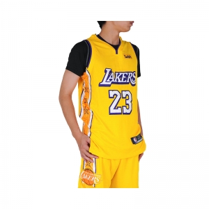  Áo NBA LosAngeles Lakers Lebron James 