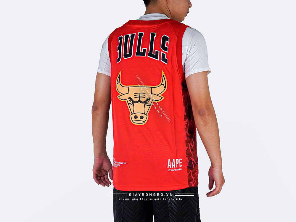 Bape x Chicago Bulls