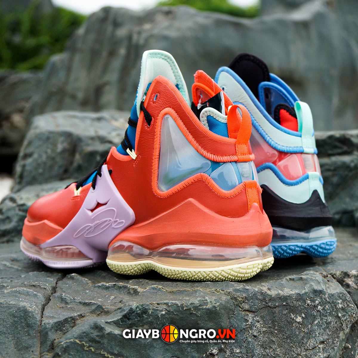 Lebron 19 Lebronival