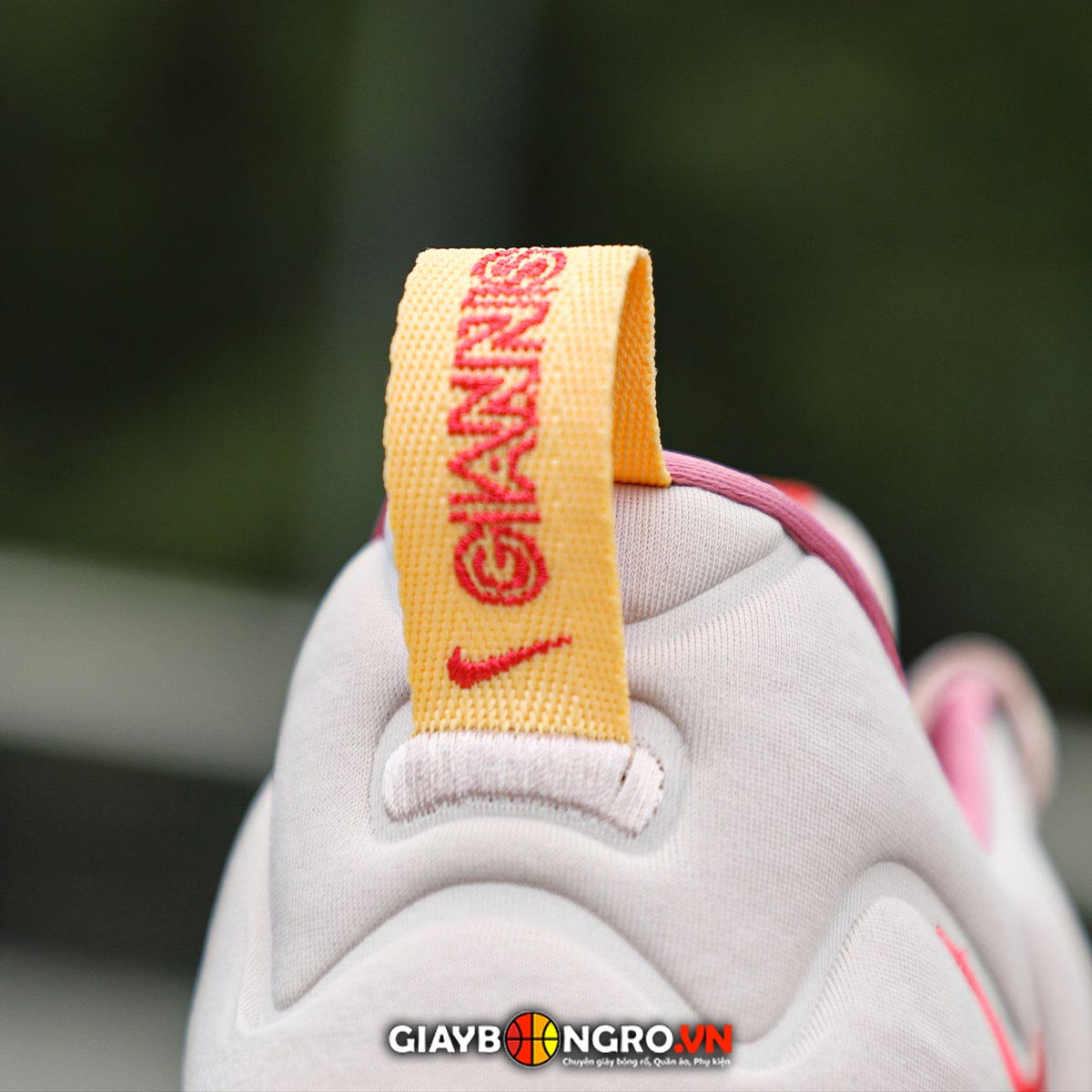 Glannis Immortality 3 EP Fossil Stone Desert Berry