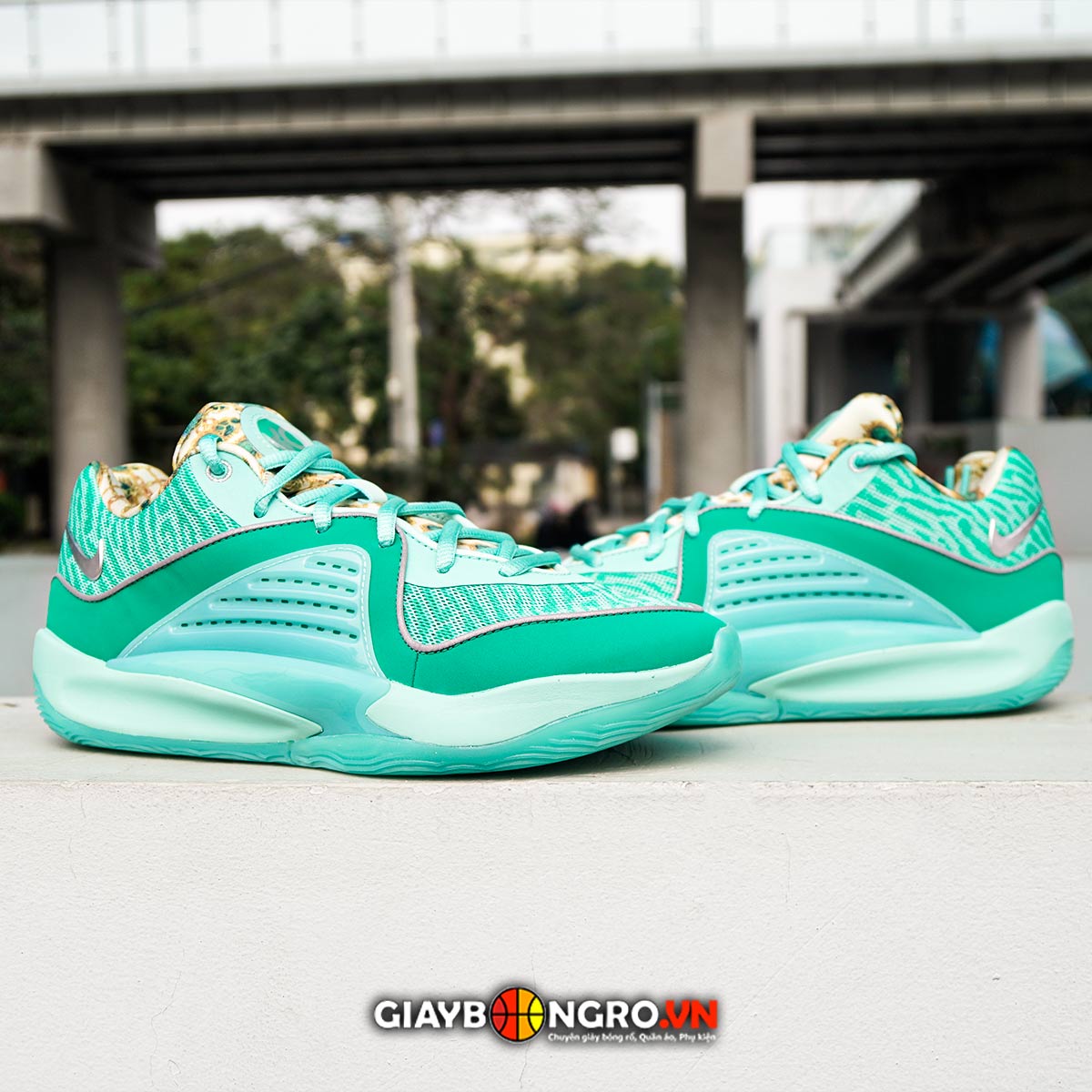 KD16 Wanda