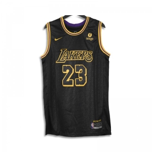  Áo bóng rổ NBA Jersey Los Angeles Lakers - Lebron James 