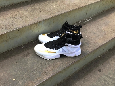 Lebron Ambassador 8 White